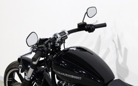 HARLEY FXBRS 2022 YHK