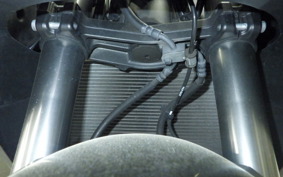 KAWASAKI NINJA 1000 A 2019
