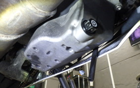KAWASAKI NINJA ZX-6R A 2021 ZX636G