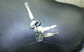 KAWASAKI ESTRELLA CUSTOM 2025 BJ250A