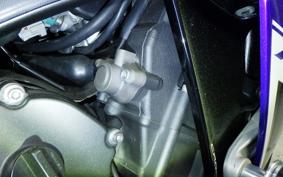 YAMAHA YZF-R1 2010