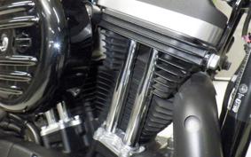 HARLEY XL883N 2020