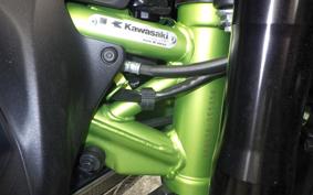 KAWASAKI Z900 Gen.2 2021 ZR900B