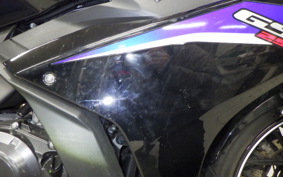 SUZUKI GSX250RA 2022
