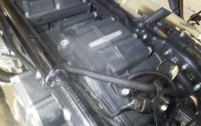 HARLEY FLSL 1750 2020