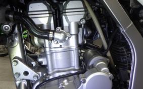 KAWASAKI KLX250 Gen.2 2021 LX250S