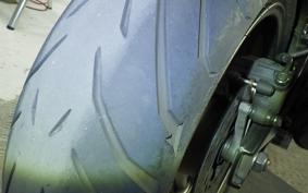 YAMAHA FZ1 FAZER 2010 RN21J
