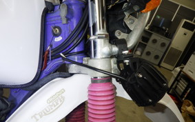 YAMAHA TT250R RAID 1997 4GY