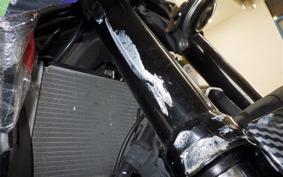 YAMAHA YZF R-3 2020 RH13J