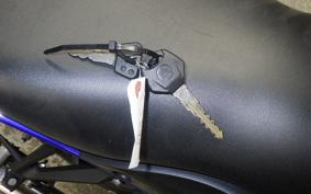 YAMAHA YZF-R3 2019 RH13J