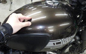 KAWASAKI W800 CAFE 2020 EJ800B