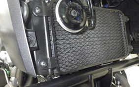 SUZUKI Vｽﾄﾛｰﾑ250