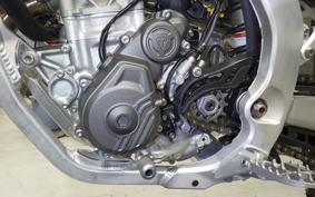 TRIUMPH TF250-X