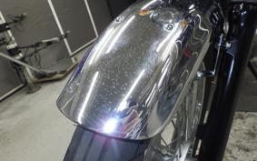 KAWASAKI ESTRELLA RS 1994 BJ250A