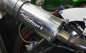 KAWASAKI NINJA 250R 2015 EX250K