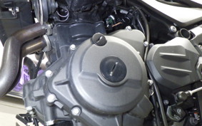 KAWASAKI Z250 Gen.2 2024 EX250P