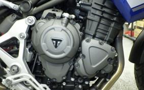 TRIUMPH TIGER 1200 GT PRO 2022