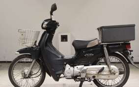 HONDA C110 SUPER CUB