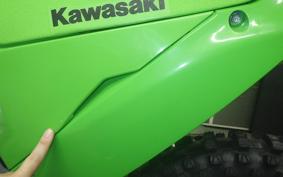 KAWASAKI KX250 2025 KX252E