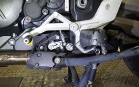 APRILIA CAPONORD 1200 2015