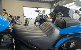 HARLEY FXBBS 2022 YYK