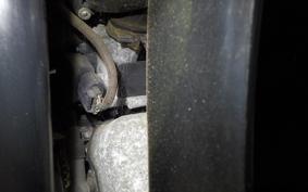 HONDA LITTLE CUB AA01