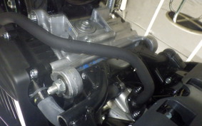 HONDA TACT-4ﾍﾞｰｼｯｸ 2024 AF79
