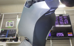 SUZUKI ADDRESS V125 G 2019 CF46A