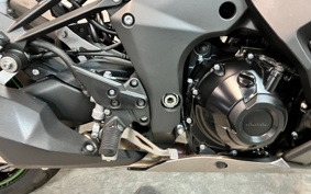 KAWASAKI NINJA 1000SX 2023 ZXT02K