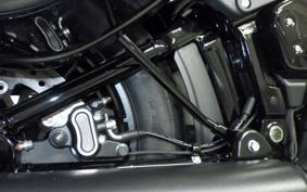HARLEY FXLRST1920 2026
