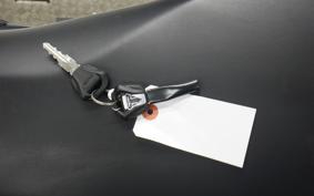 TRIUMPH TRIDENT 660 2024