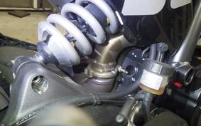 DUCATI SCRAMBLER ICON 2024