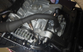 YAMAHA CYGNUSｸﾞﾘﾌｧｽ 2009 SEJ4J