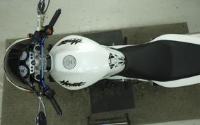 HONDA HORNET 250 2010 MC31