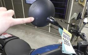 OTHER +ENFIELD ﾒﾃｵ350 2025