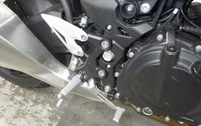 KAWASAKI Z250 Gen.2 2025 EX250Y