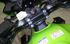 KAWASAKI ZRX1200 D 2017 ZRT20D