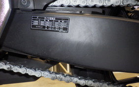 YAMAHA YZF-R25 A 2024 RG74J