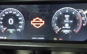 HARLEY FLTRX1920 2024