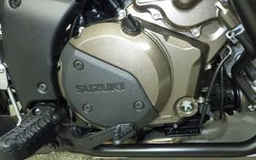 SUZUKI DL1000 ( V-Strom 1050 ) EF11M