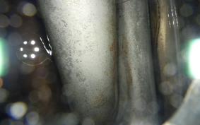 KAWASAKI 350SS 1999 S2F