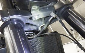 BENELLI レオンチーノ250