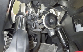 YAMAHA YZF-R25 2009 RG10J