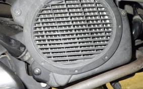 HONDA LEAD 110 2025 JF19