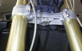 TRIUMPH STREET TRIPLE 2009