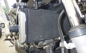 SUZUKI SV1000 2008
