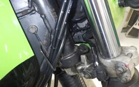 KAWASAKI SUPER SHERPA 2019 KL250G