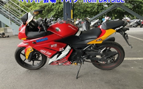 KAWASAKI NINJA 250R