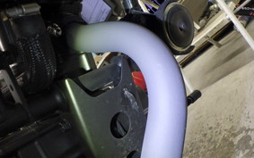 HONDA REBEL 250 2006 MC49