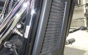 HARLEY FXBR1920 2025